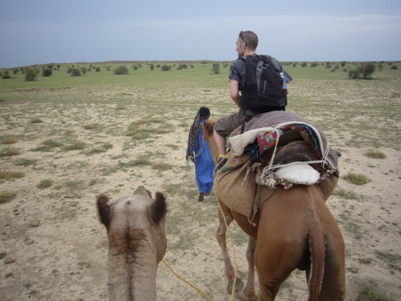 Camel Safari